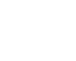 Professional Voice